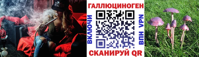 МЕГА зеркало  Козьмодемьянск  Галлюциногенные грибы Psilocybe 
