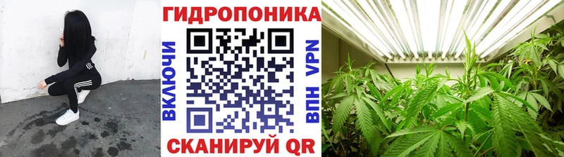 цены наркотик  Козьмодемьянск  Конопля план 